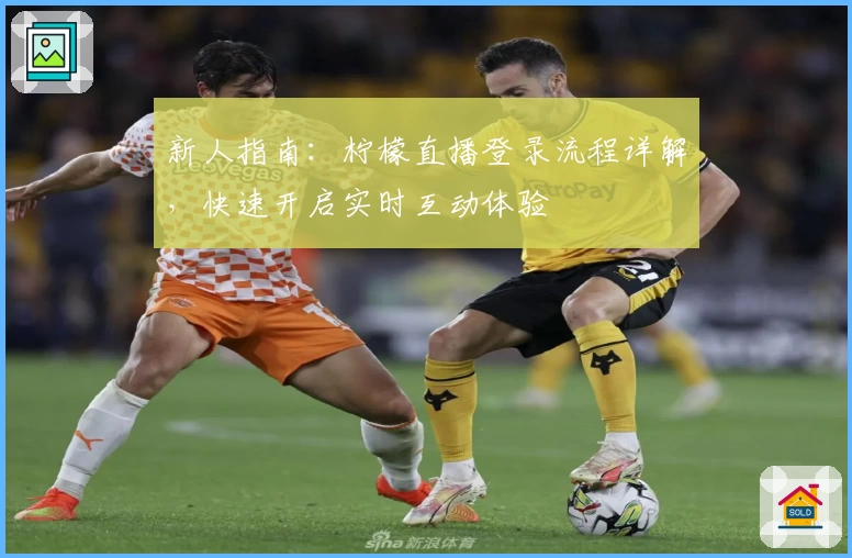 新人指南：柠檬直播登录流程详解，快速开启实时互动体验